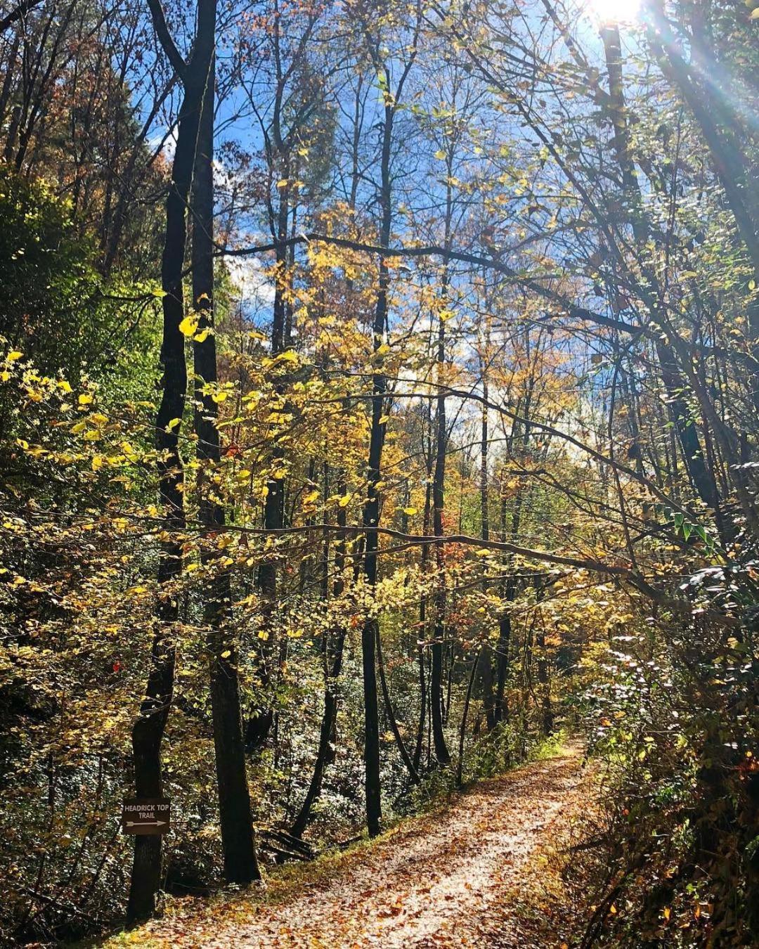 Horseshoe Hideaway Сивиървил Екстериор снимка